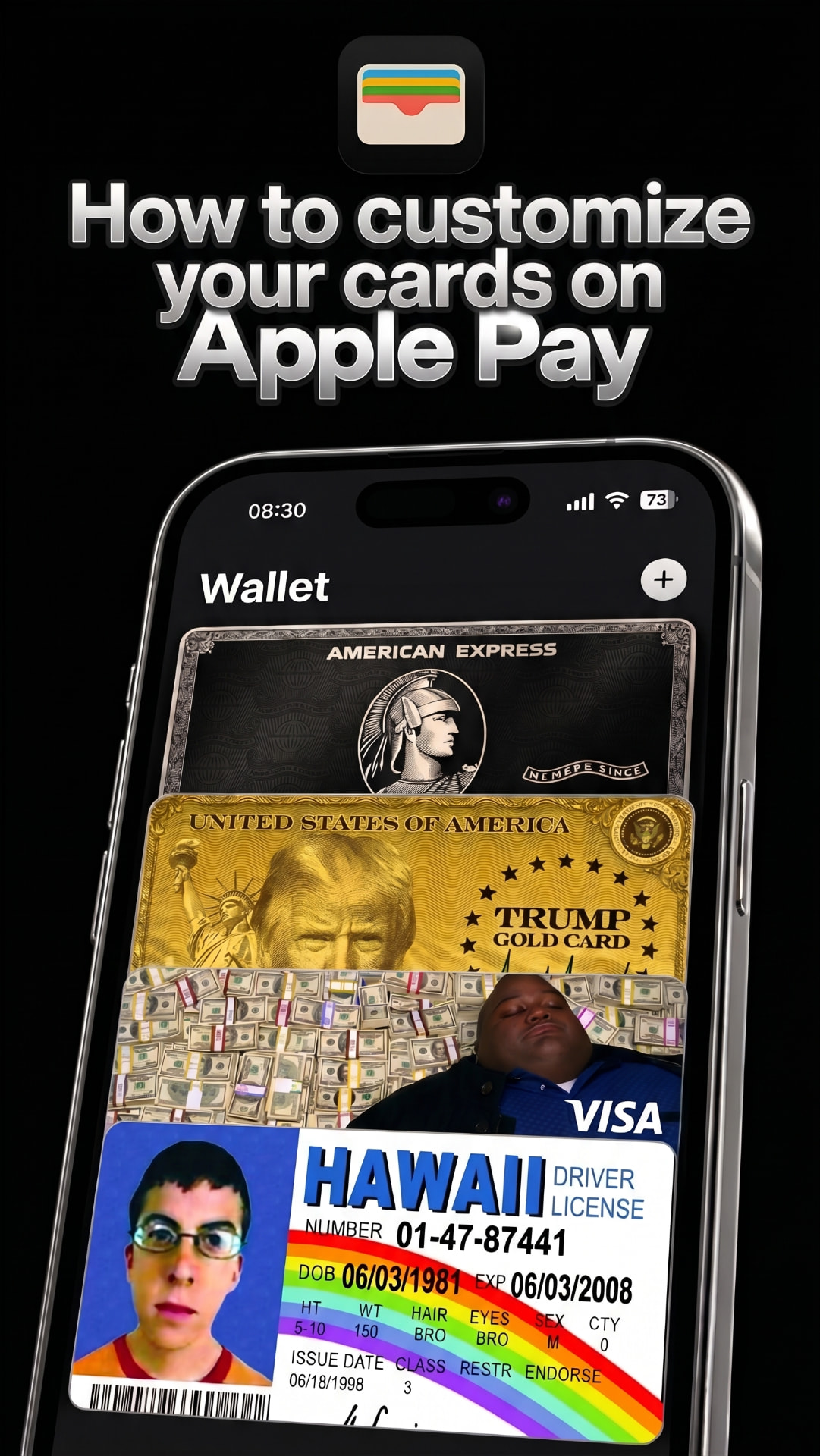 iPhone digital wallet using CardSkin